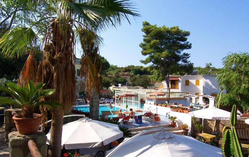 Albergo Villa Hibiscus Forio di Ischia Extérieur photo