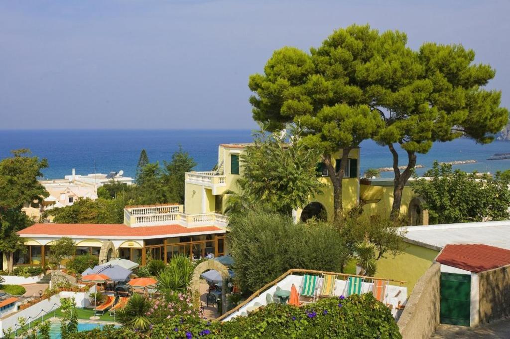 Albergo Villa Hibiscus Forio di Ischia Extérieur photo